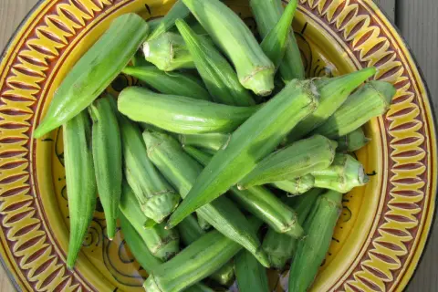 Gombos frais, prêts pour une délicieuse recette libanaise. Ces légumes verts vibrants sont disposés dans un plat décoratif.