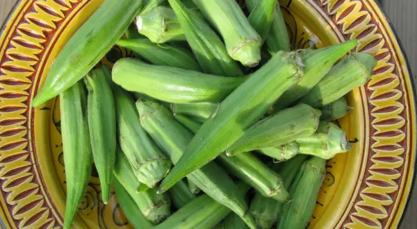 Gombos frais, prêts pour une délicieuse recette libanaise. Ces légumes verts vibrants sont disposés dans un plat décoratif.