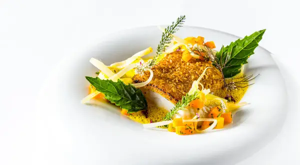Un plat de silure pané, servi avec des dés de courge, des herbes fraîches et une sauce légère. Une belle présentation pour une recette de silure au court bouillon.