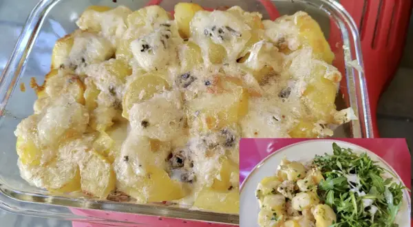 Plat gratiné de pommes de terre et poulet au Bresse bleu, une délicieuse recette bressiflette, servi avec une salade verte.