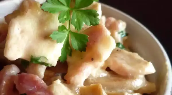 Un plat crémeux de fricassée de poulet pour tous les jours, garni de persil frais.