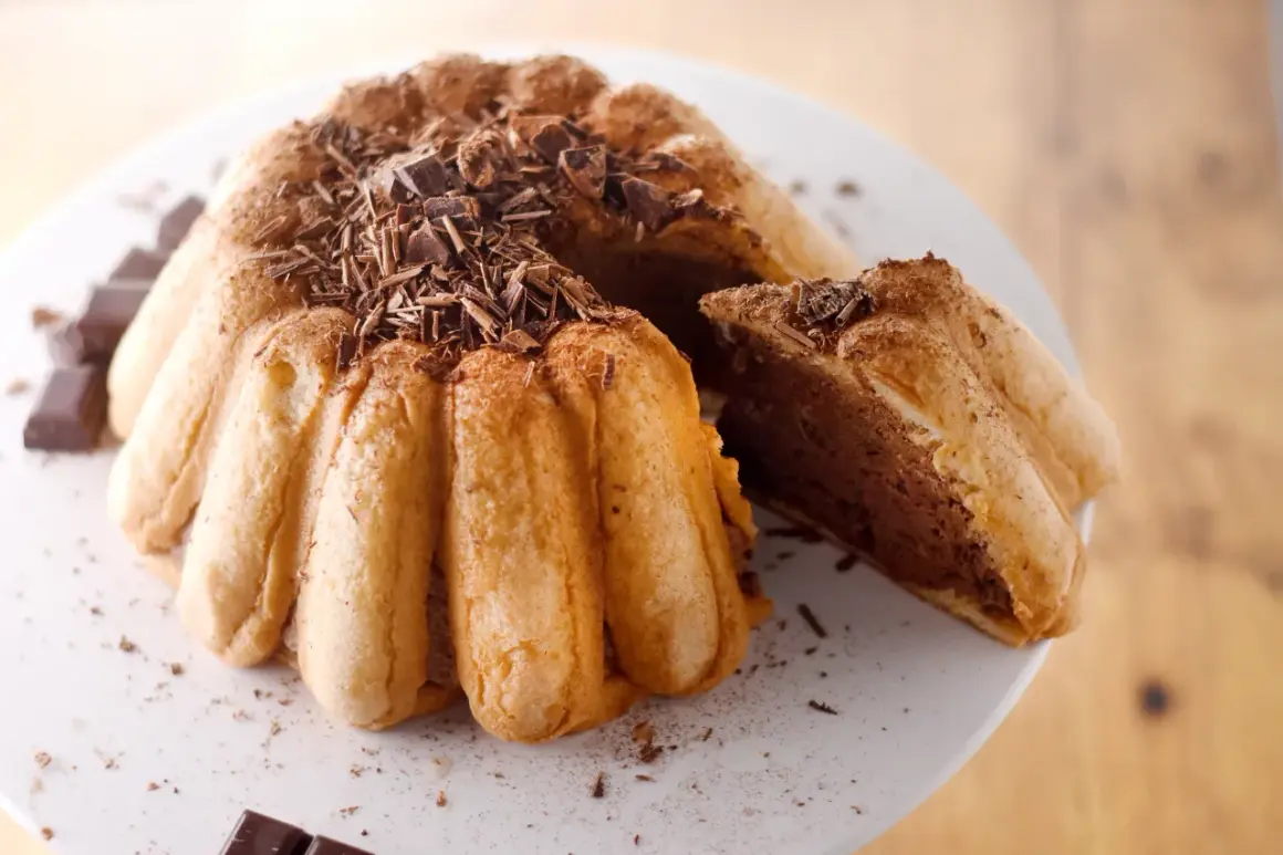 Une délicieuse charlotte malakoff au chocolat, garnie de copeaux de chocolat noir et saupoudrée de cacao.