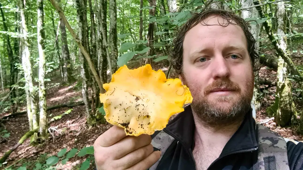 Un homme tient une girolle noire, un champignon jaune vif, dans une forêt verdoyante.