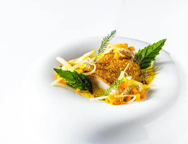 Un plat de silure pané, servi avec des dés de courge, des herbes fraîches et une sauce légère. Une belle présentation pour une recette de silure au court bouillon.