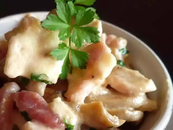 Un plat crémeux de fricassée de poulet pour tous les jours, garni de persil frais.